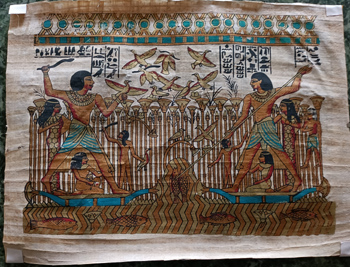 Bild 39 x 30 cm hoch Papyrus Druck